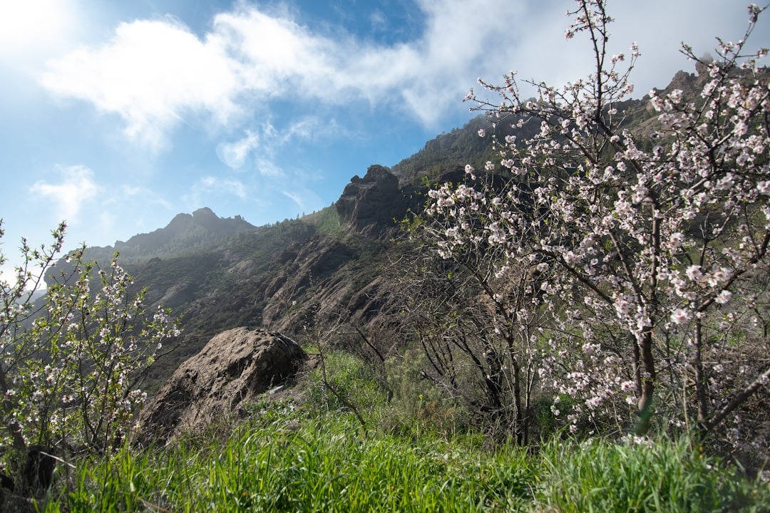 proyectos sostenibles