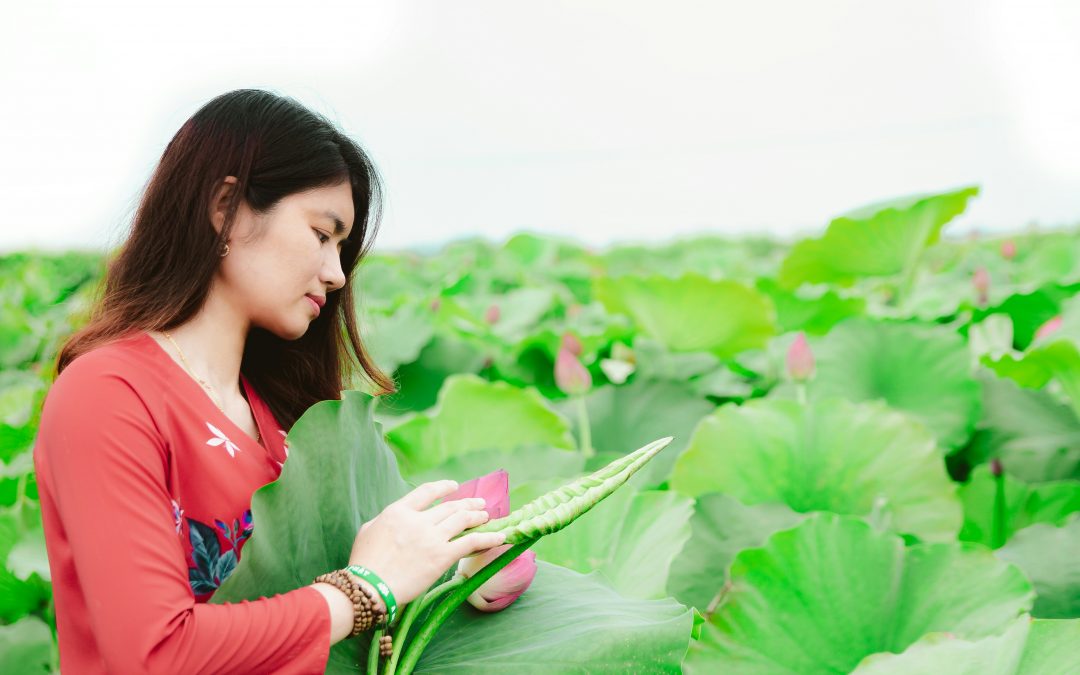 Certificaciones agrícolas europeas