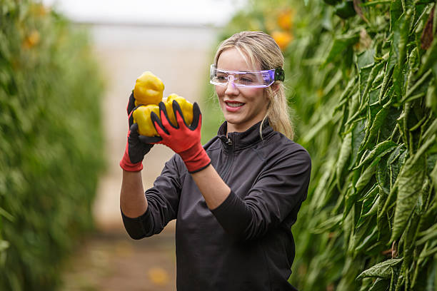 Invernadero ecológico