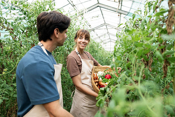 almacenamiento de productos ecológicos