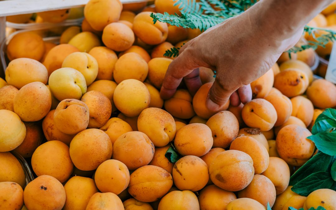 mitos sobre productos ecológicos