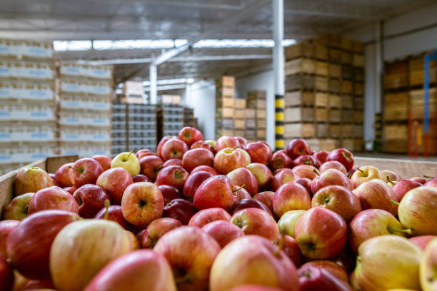 proveedores-frutas ecológicas-al-por-mayor-verano-20226